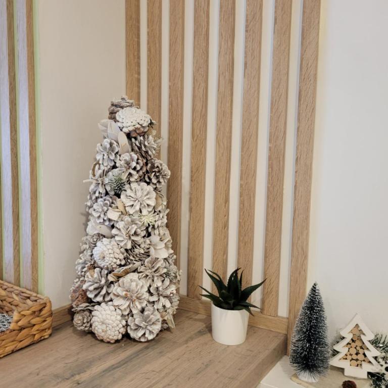 Grasse aux parfums - Appartement 1 Chambre - 29