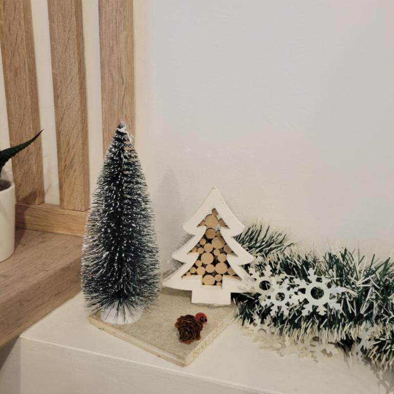 Grasse aux parfums - Appartement 1 Chambre - 27