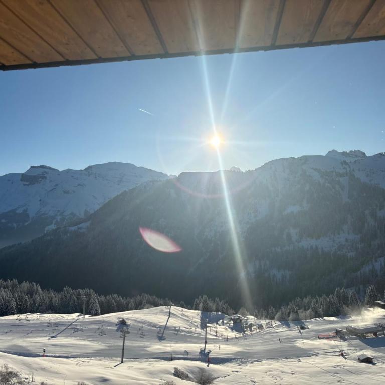 Samoens 1600 les cimes - Apartment mit 1 Schlafzimmer - 12