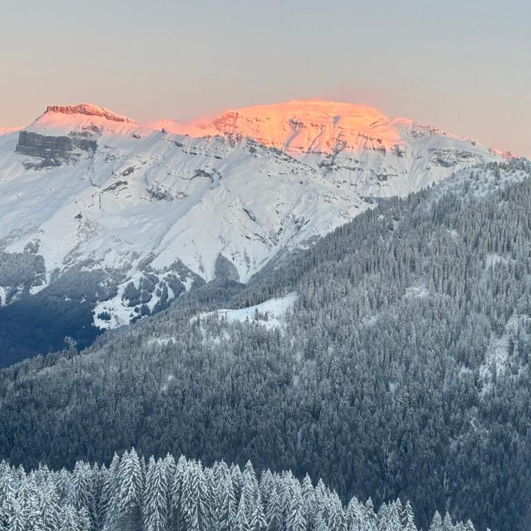 Samoens 1600 les cimes - Apartment mit 1 Schlafzimmer - 11