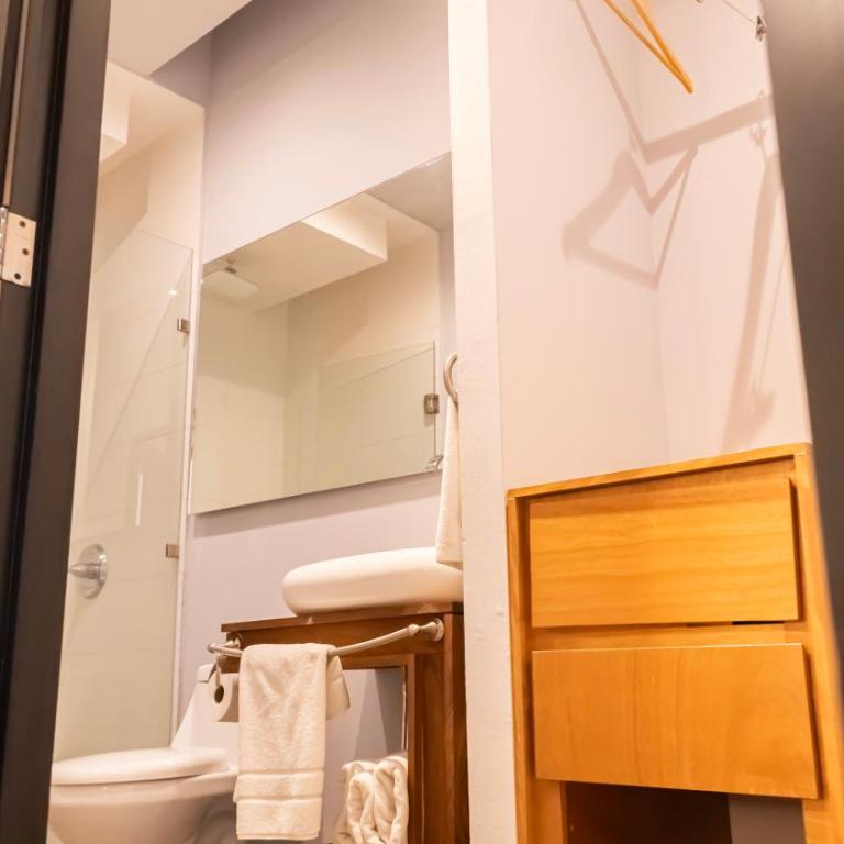Hotel Plaza de Armas - Deluxe Double Room - 11