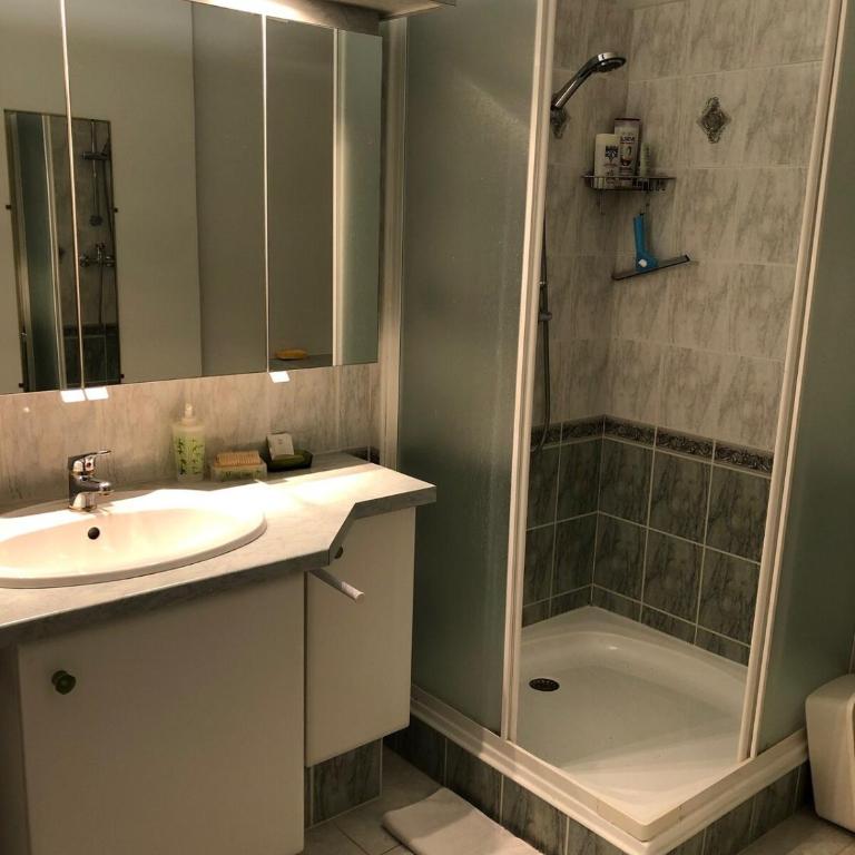Grand Studio proche cure&village - Appartamento con 1 Camera da Letto - 6