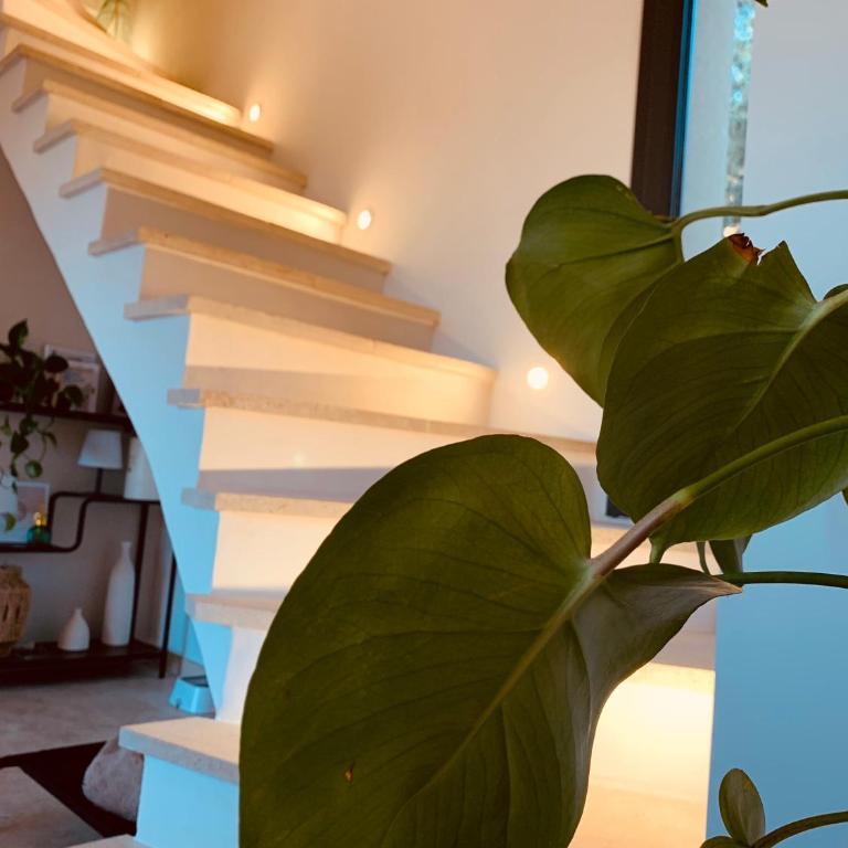 Maison neuve climatisée, à 2 pas du centre de Bédoin, La Villa Thélo - Villa 2 Chambres - 15