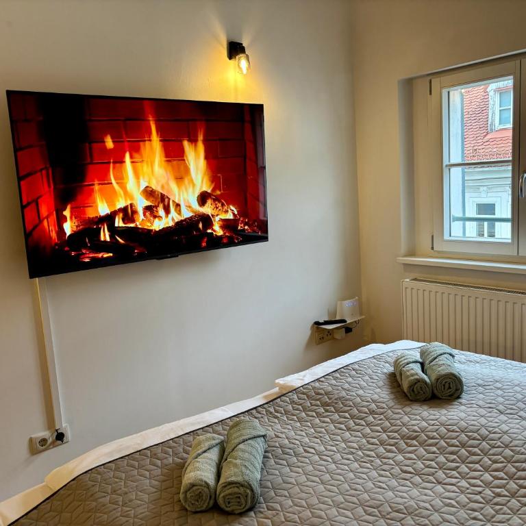 Heritage Living Schmiedgasse III - Apartamento de 1 dormitorio - 3