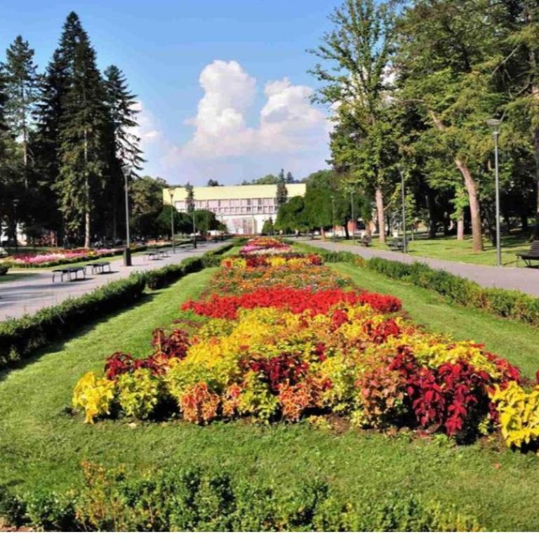Apolon Spa Lux - One-Bedroom Apartment - 52