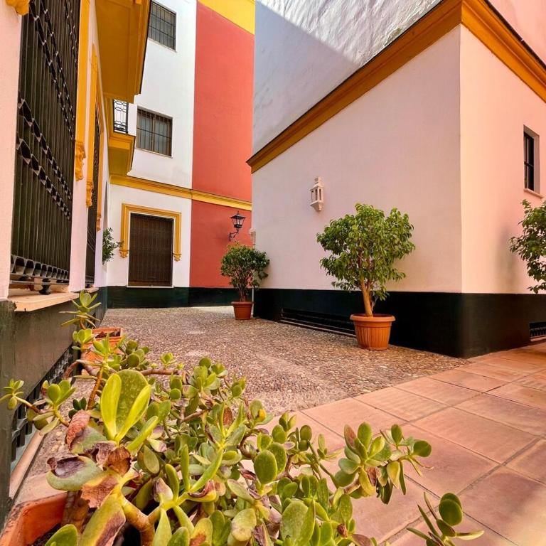 Caballerizas Studio - One-Bedroom Apartment - 17