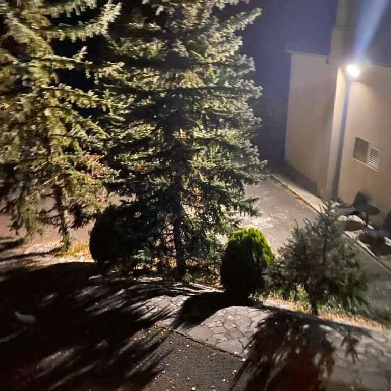 Etno Smocje Kolasin - Vila sa 2 Spavaće Sobe - 21