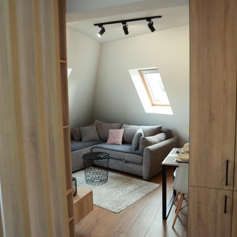 Apartman Borovi 15 Divčibare - One-Bedroom Apartment - 10