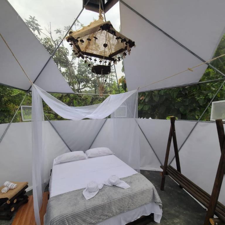 Ecohotel la Floresta - Tienda - 2