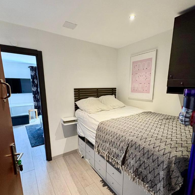 Appartement moderne et entièrement rénové en plein cœur du village, chambre séparée, balcon vue montagne, très proche des pistes - Apartment mit 1 Schlafzimmer - 5
