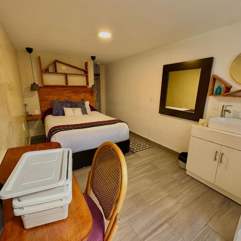 Habitaciones Coyoacan (UNAM) - Chambre Double - 9