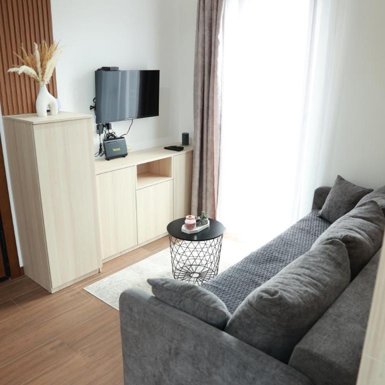 Apartman Borovi 11 Divčibare - One-Bedroom Apartment - 6