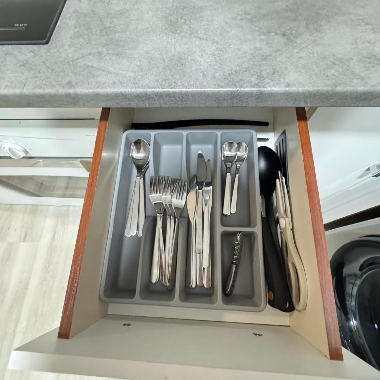 LUMINOSOS APARTAMENTOS POZUELO a 8 MINUTOS DE PALACIO REAL - Apartamento Clásico - 13