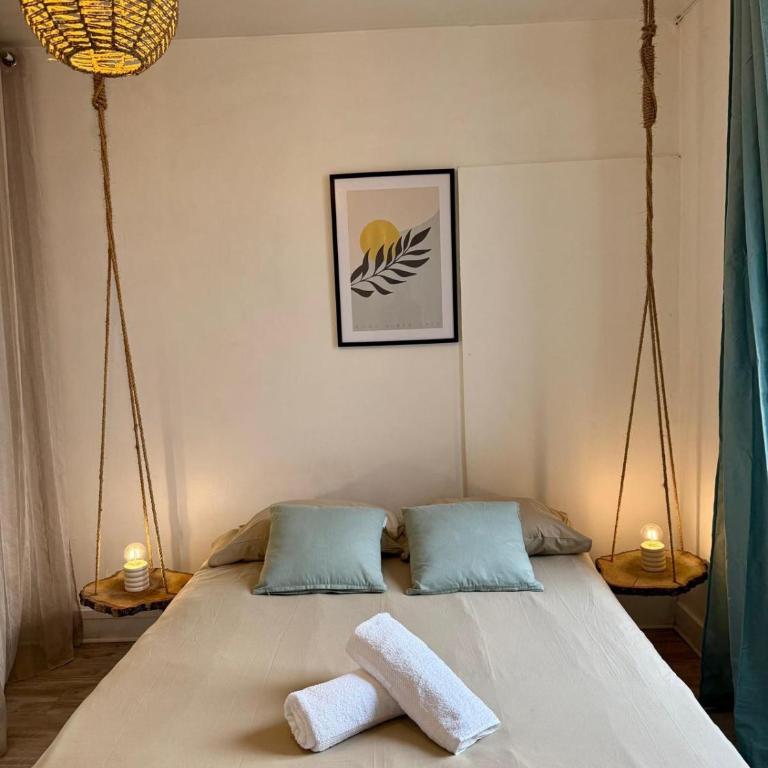 Le Canard du Berry - Wifi - Centre Ville - Appartement 1 Chambre - 17