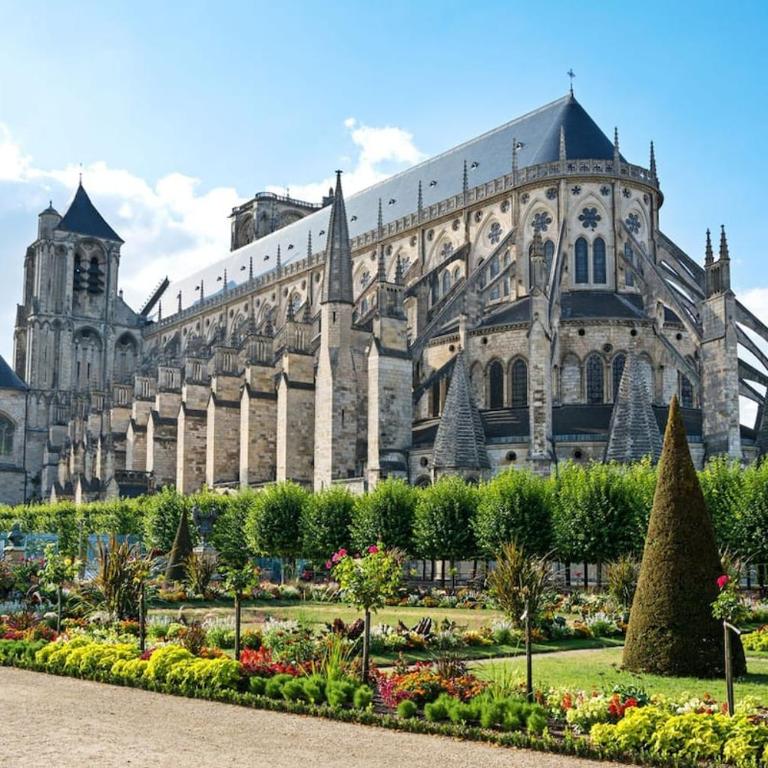 Le Canard du Berry - Wifi - Centre Ville - Appartement 1 Chambre - 20
