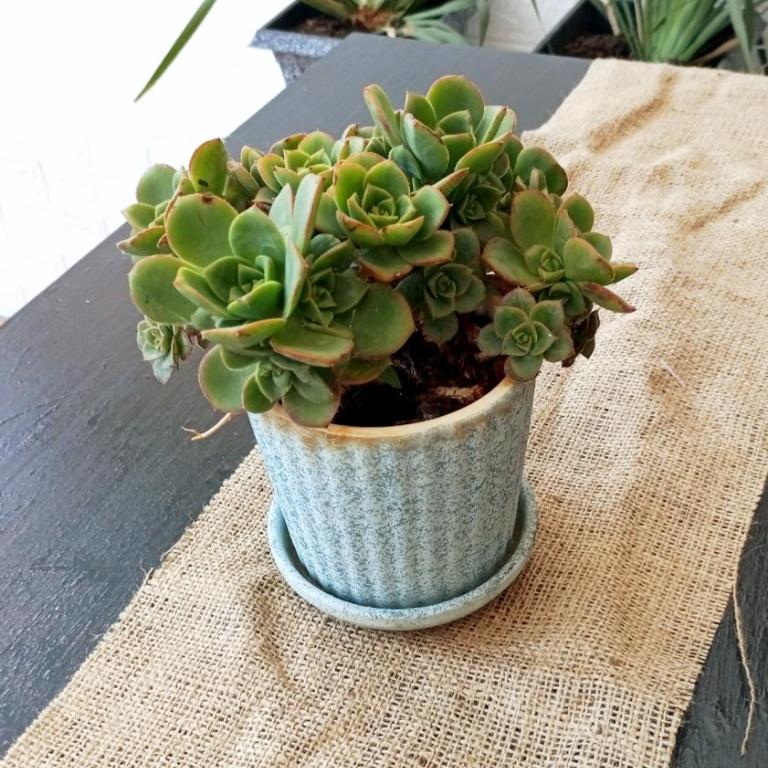 Monoambiente céntrico - One-Bedroom Apartment - 3