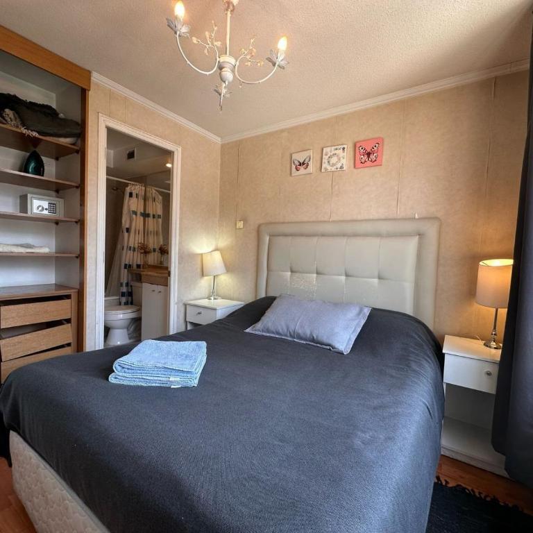Living Pastene - Apartamento con balcón - 36