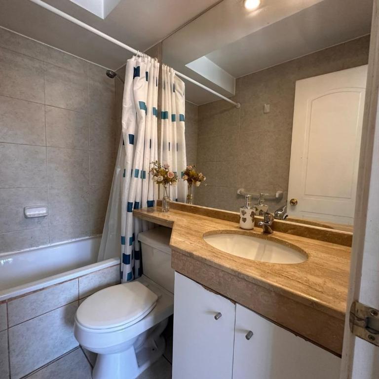 Living Pastene - Apartamento con balcón - 40