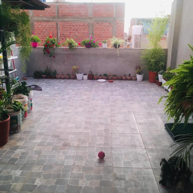 Munaycha - Apartamento de 2 dormitorios con terraza - 11