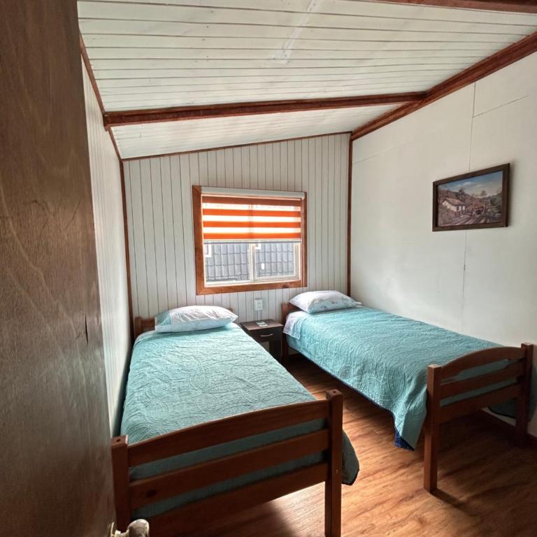 Hostel caleta union - Single Bed in Mixed Dormitory Room - 1