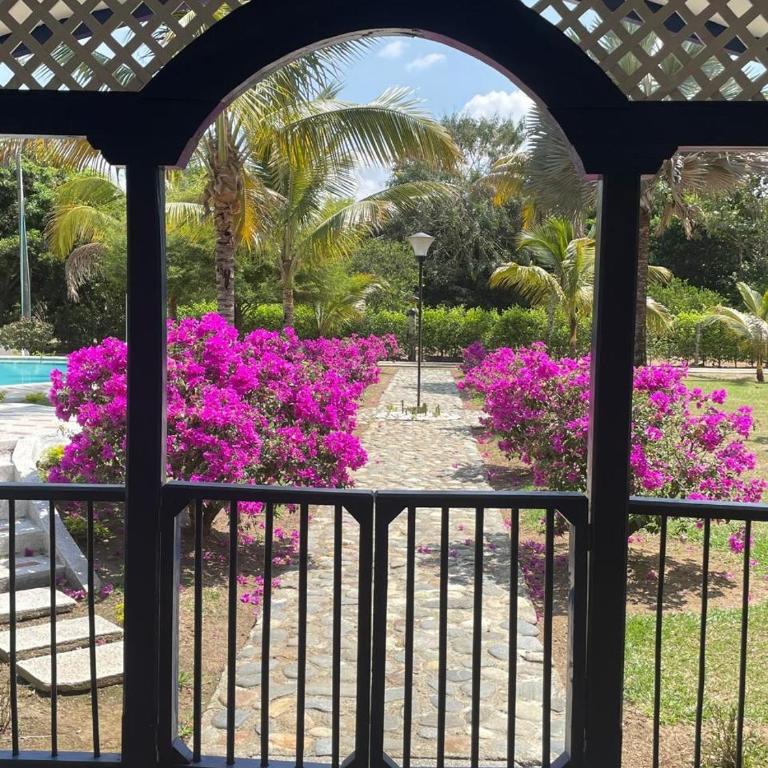 Beautiful colonial estate in Santa Elena, Valle del Cauca - Casa de 5 dormitorios - 5