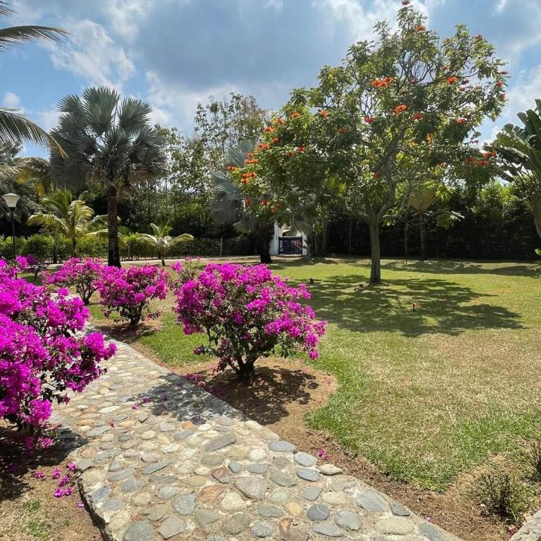 Beautiful colonial estate in Santa Elena, Valle del Cauca - Casa de 5 dormitorios - 18