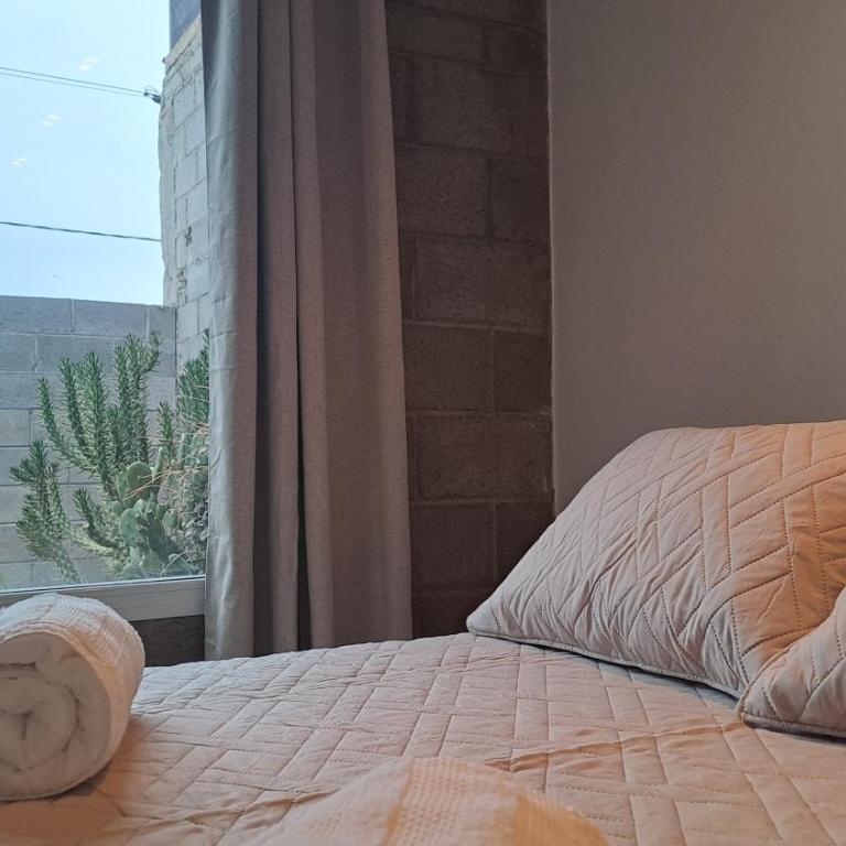 Prunus departamentos - Apartamento de 1 dormitorio - 8