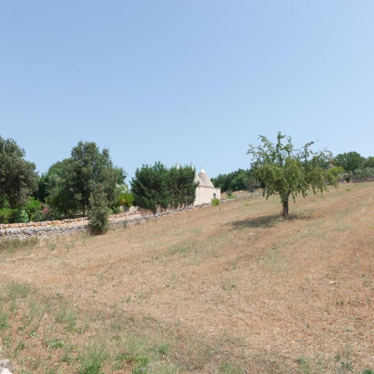 Holiday Home in Valle d'Itria with Pool - Two-Bedroom Trullo House - 51