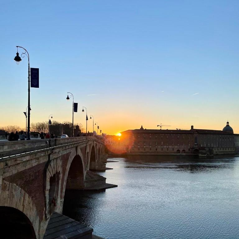 T2 au cœur du quartier Saint-Cyprien à Toulouse - Apartment mit 1 Schlafzimmer - 10