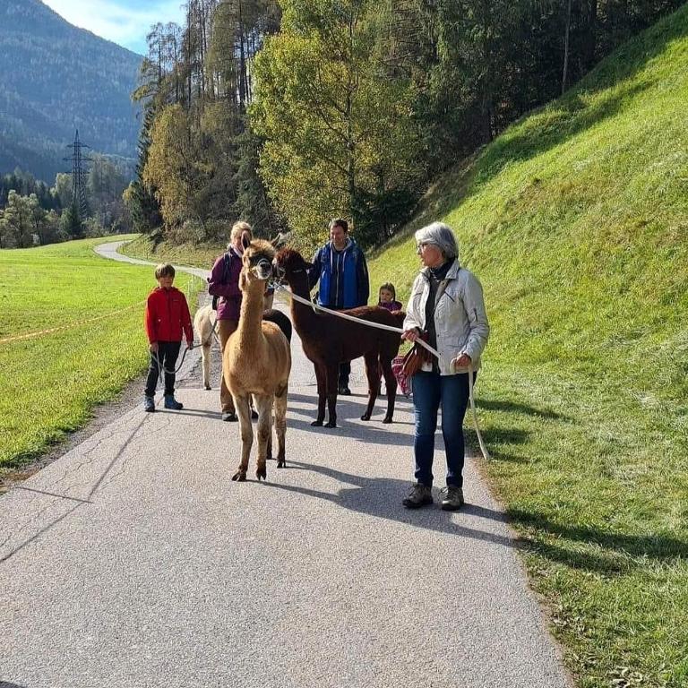 Apart- Chalet GletscherGlück - Deluxe Apartment - 23