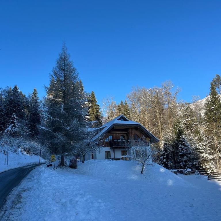 Ferienwohnung Waldhauser - Apartment mit 2 Schlafzimmern - 81