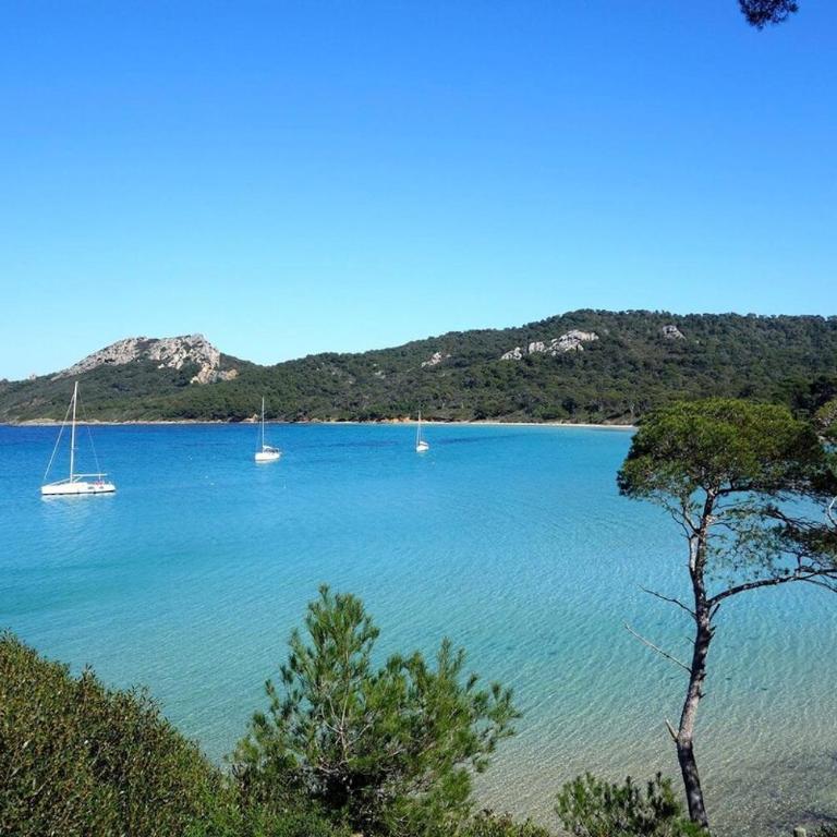 Studio rénové face à la mer - Port de Carqueiranne - Studio avec Vue sur le Port - 30