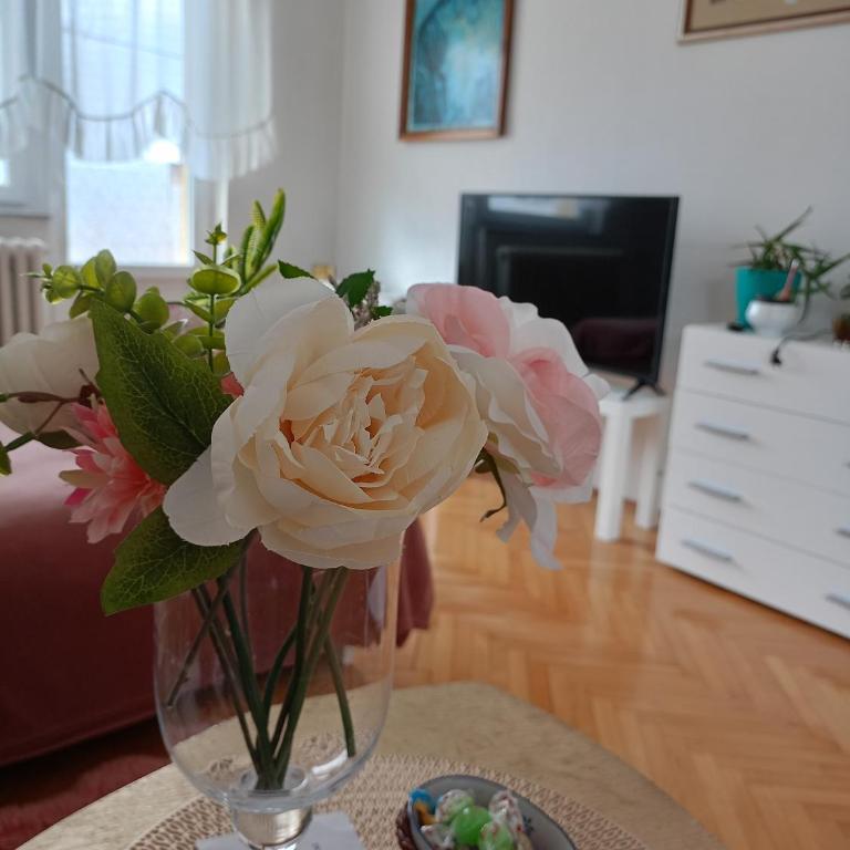 Kleopa - Apartment - 1