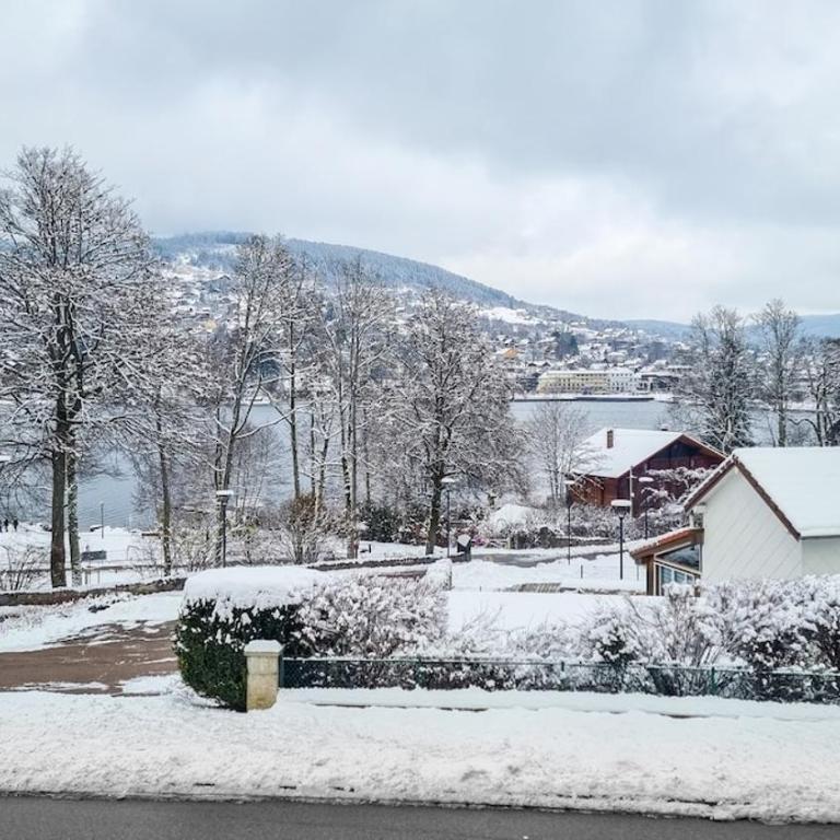 F2* * * 80M DU LAC avec vue+terrasse+proche centre - Appartement 1 Chambre - 1