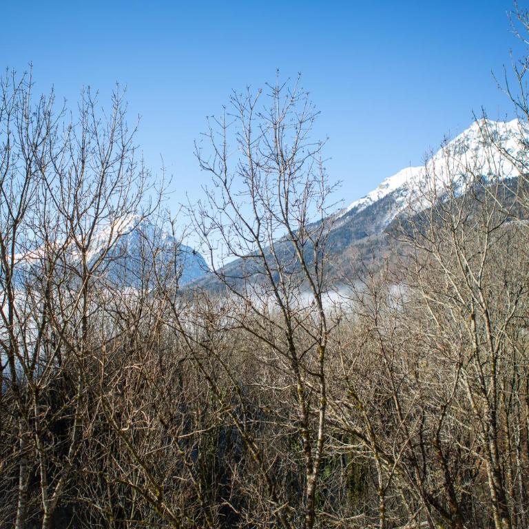 La Tour de l'Enversin - Chalet - 51