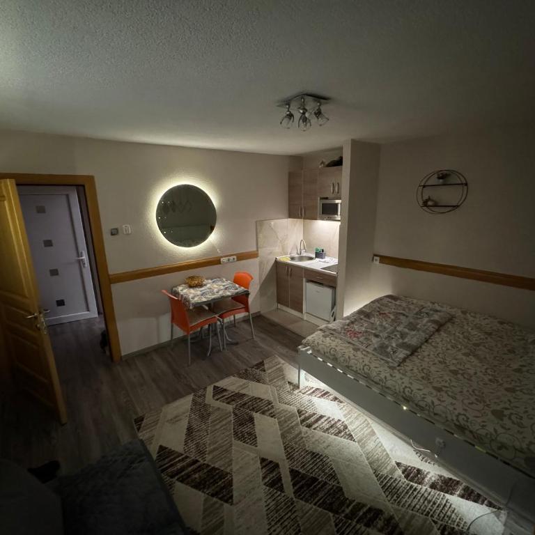 T&N Studio-Center-Free parking,AC,Train-Bus station - Apartman - 4