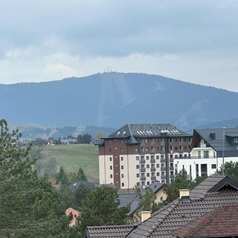 Apartman Mica - Apartman sa 1 Spavaćom Sobom - 9