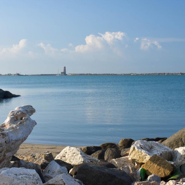 Mare e Relax 2 Melody Sea Front 10' da FCO Airport - Appartamento con 1 Camera da Letto - 17