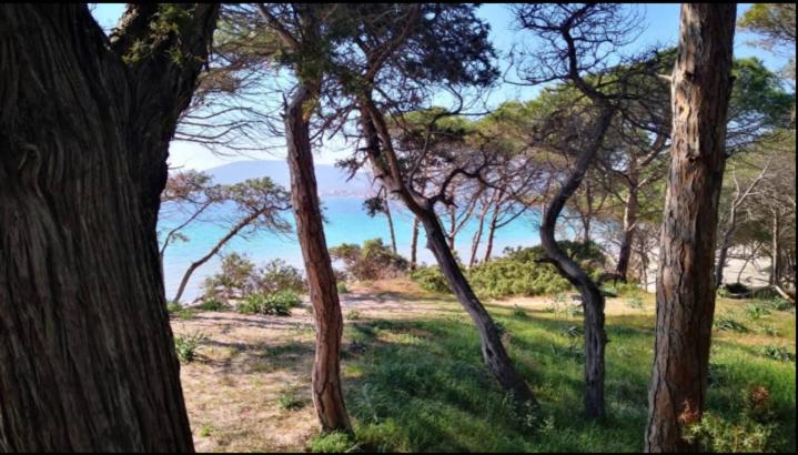 Domo fiorita - Two-Bedroom Apartment - 11