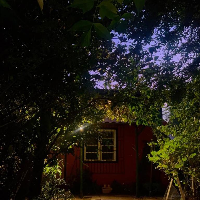 Un trozo de bosque en la ciudad - Apartamento de 1 dormitorio - 4