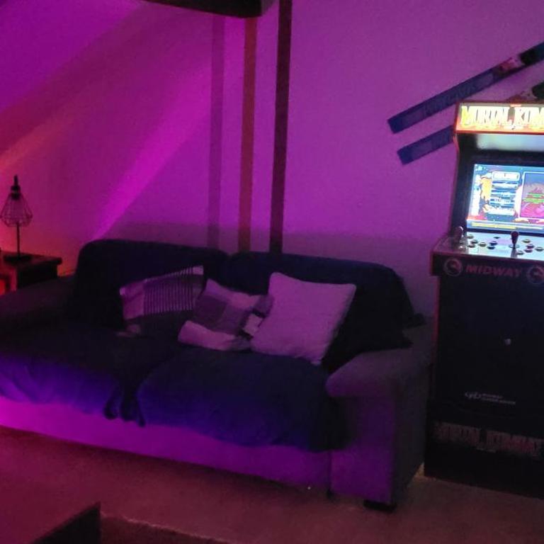 Le Trésor des Vosges Appartement spacieux et lumineux 80m2 - jeux arcades - idéal famille 4 à 6 personnes - Appartement 2 Chambres - 30
