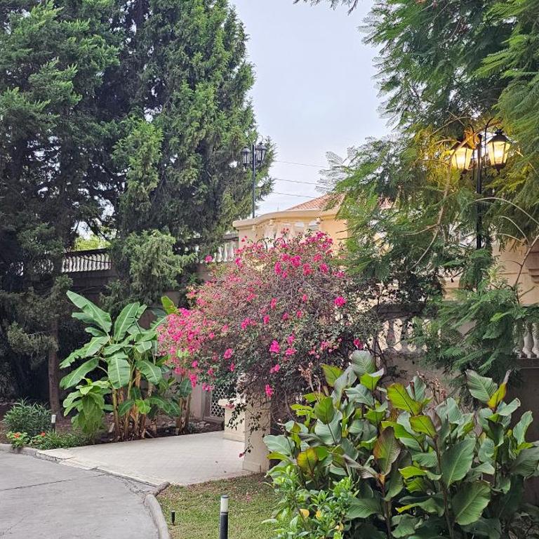 por mes, cerca del parque San Martín en complejo Vip - Apartamento - 39