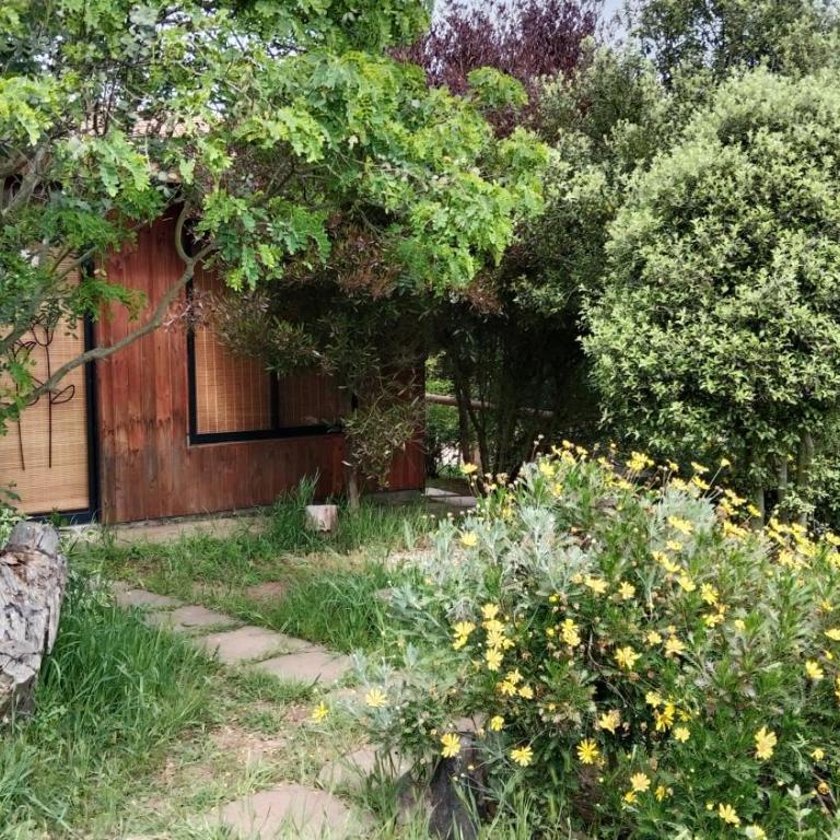 Moradadelvalle - Casa con 1 dormitorio - 2