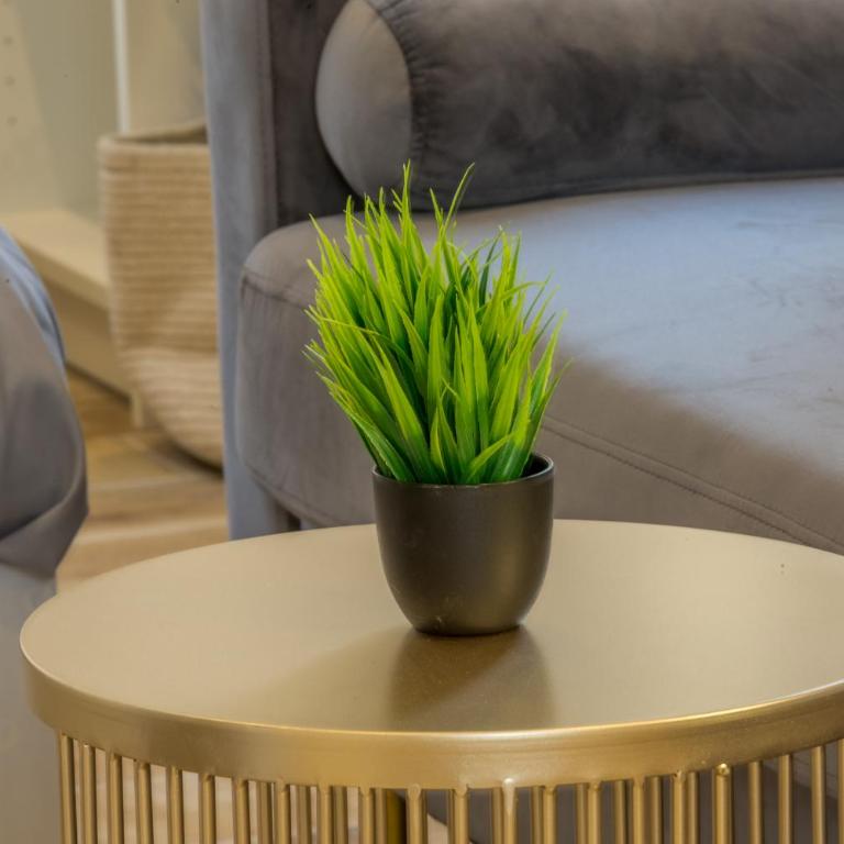 Pasteur Collection - Confort & Design - 2pers - Deluxe One-Bedroom Apartment - 12
