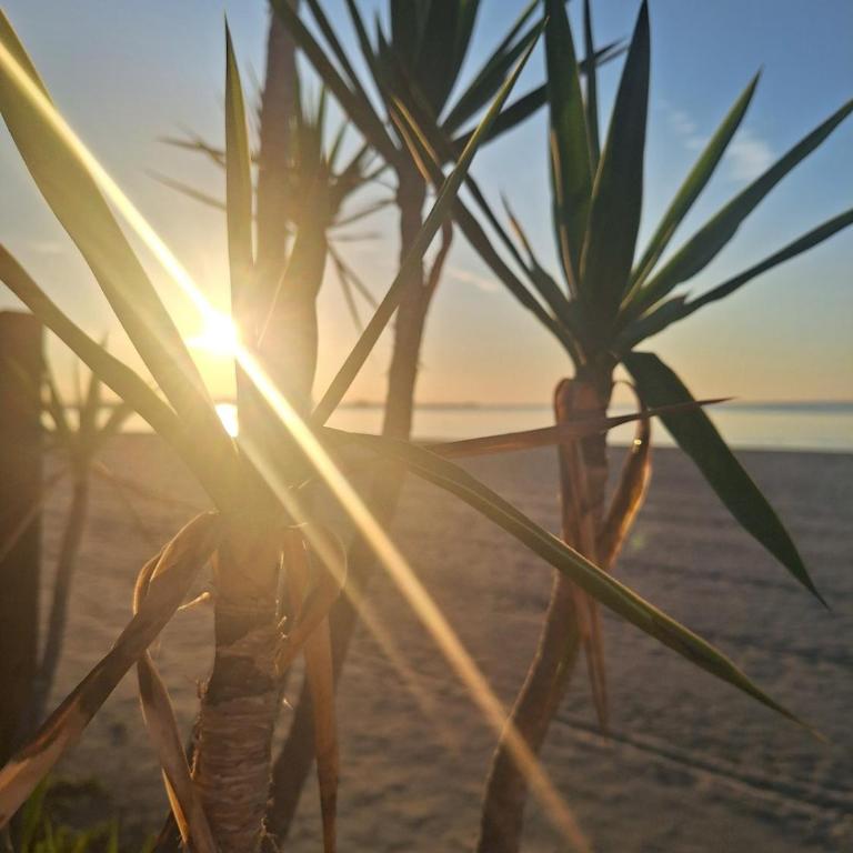 Mysigt boende endast 200m till Stranden - Casa de 2 dormitorios - 16
