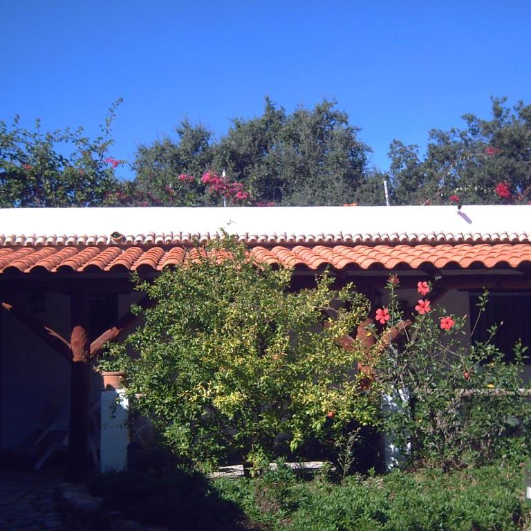 Finca El Abuelo - Bungalow de un dormitorio - 6