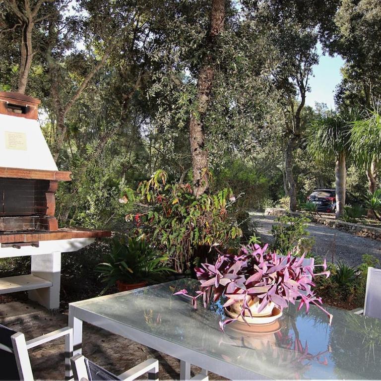 Quiet and wooded area of the Mallorcan countryside by Renthousing - Casa de 2 dormitorios - 11