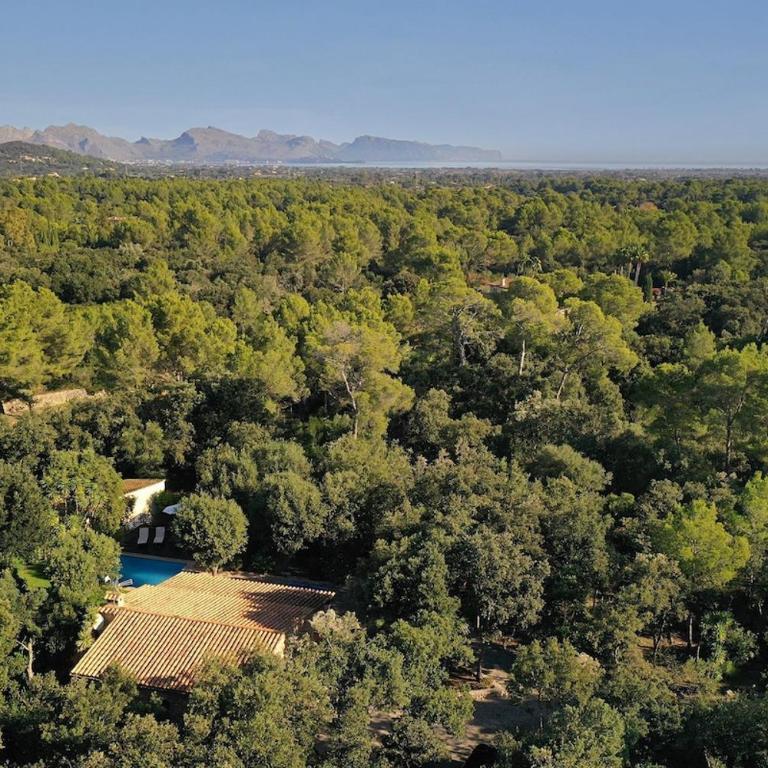 Quiet and wooded area of the Mallorcan countryside by Renthousing - Casa de 2 dormitorios - 28