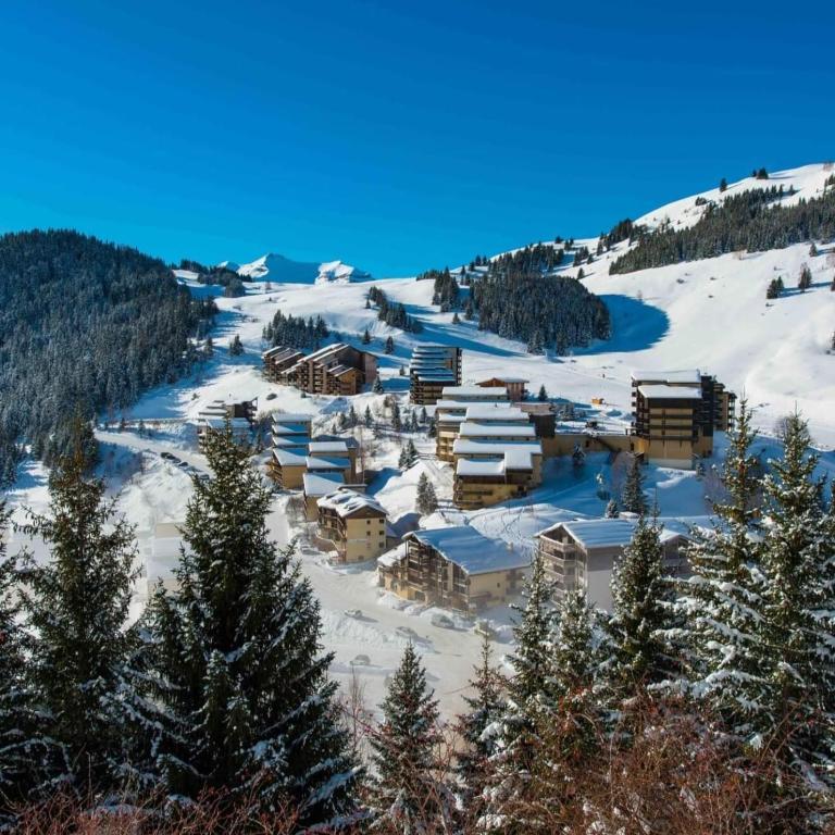 Les Iris T2 Station de ski Auris Alpes d'Huez - One-Bedroom Apartment - 16