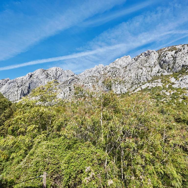 Helena Apartmani - Apartman sa 2 Spavaće Sobe - 24
